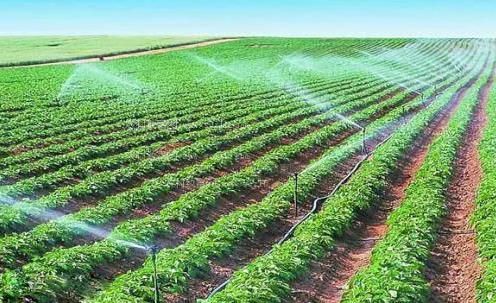 操老骚Bav免费视频农田高 效节水灌溉